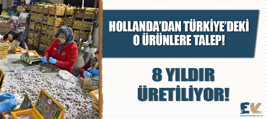 Hollanda’dan Türkiye’deki o ürünlere talep! 8 yıldır üretiliyor