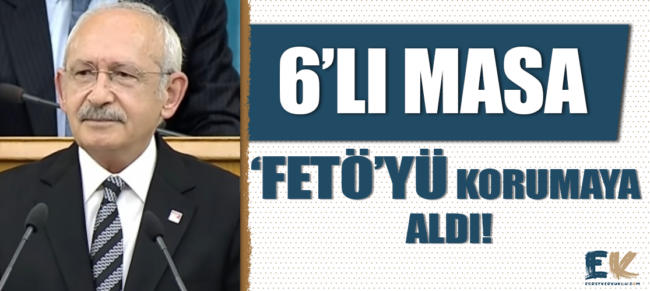 6_li_masa_feto_yu_korumaya_aldi_h48669_1aab1
