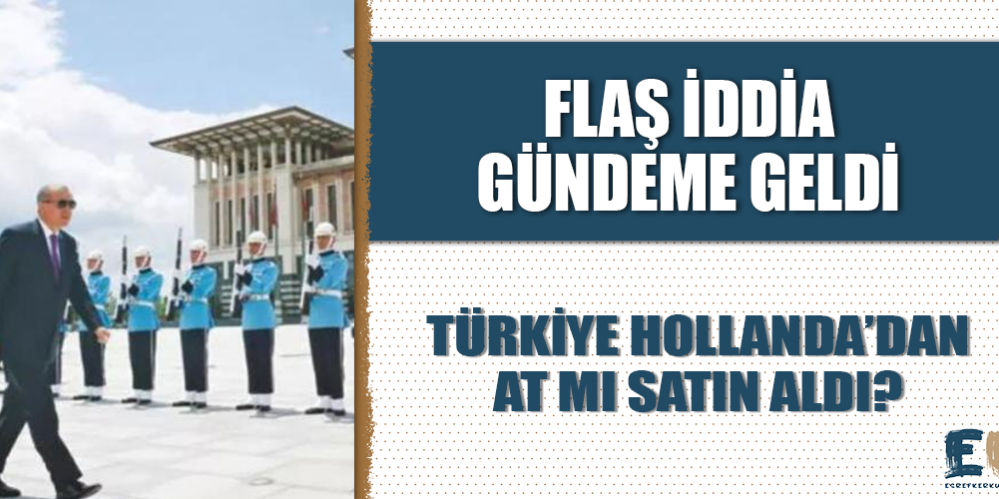 flas_iddia_gundeme_geldi_turkiye_hollandadan_at_mi_satin_aldi_h48914_96f34