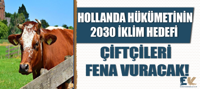 hollanda_hukumetinin_2030_iklim_hedefi_ciftcileri_fena_vuracak_11_bin_ciftlik_kapaniyor_h48679_e1746