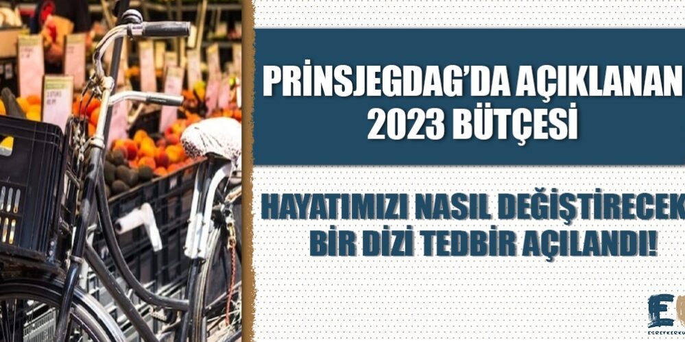 hollandada_prinsjesdag_da_aciklanan_2023_butcesi_hayatimizda_nasil_degisikliklere_yol_acacak_h48734_447ea